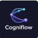 Perfil Cogniflow